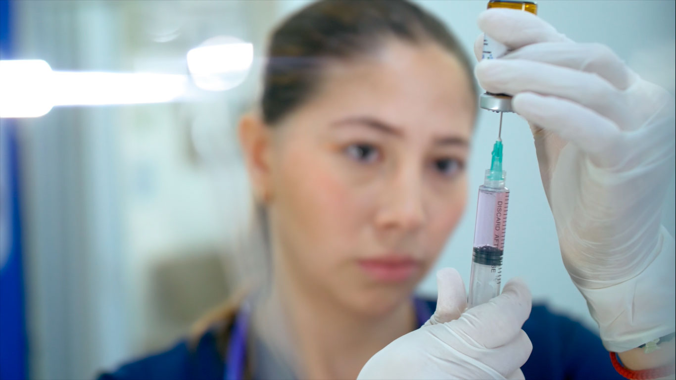 imagenlangingprincipal